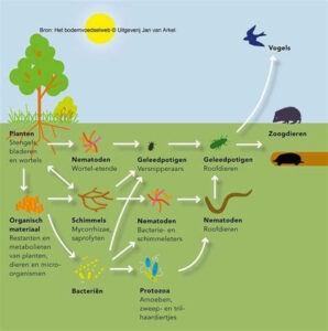 bodemvoedselweb
